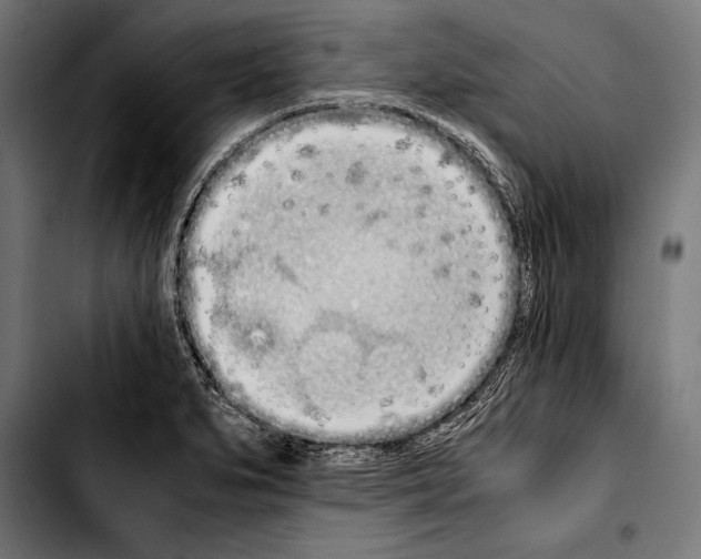 X0000103331279200810171416