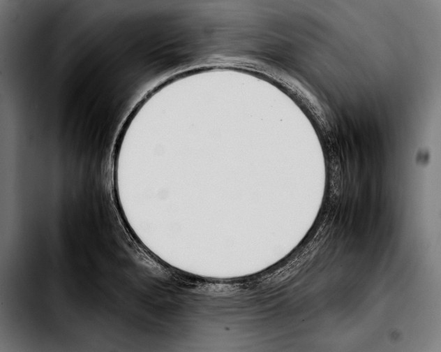 X0000103331280200810171416