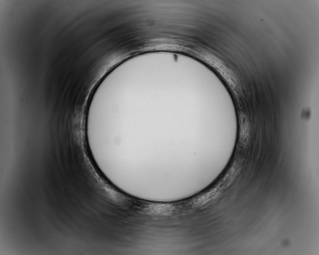 X0000103331282200810171416