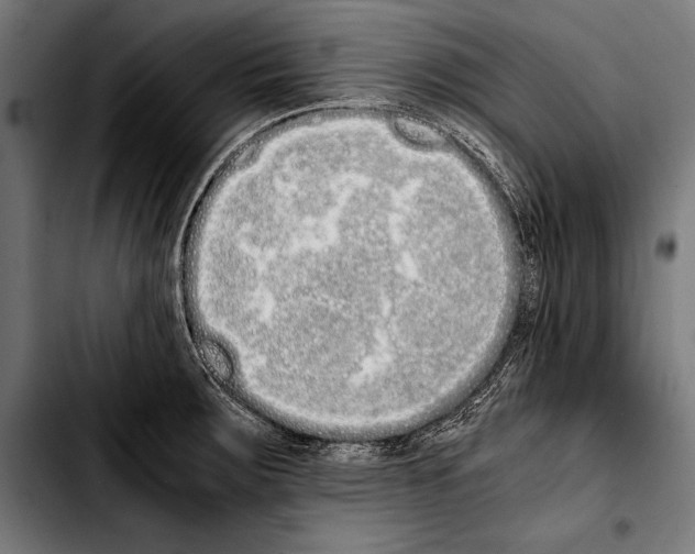 X0000103331283200810171416