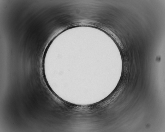 X0000103331285200810171415