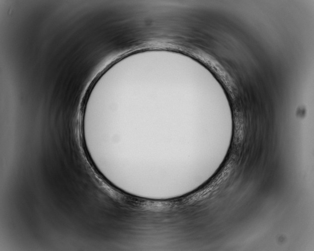 X0000103331286200810171415