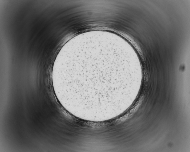 X0000103331289200810171415