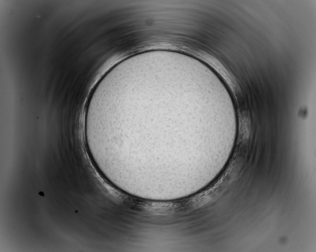 X0000103331290200810171415