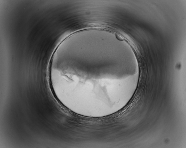 X0000103331291200810171415