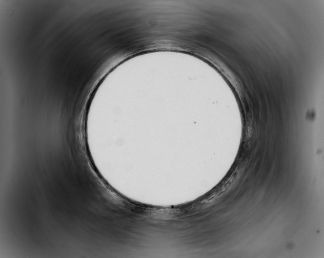 X0000103331293200810171415