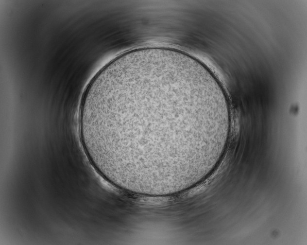 X0000103331294200810171415