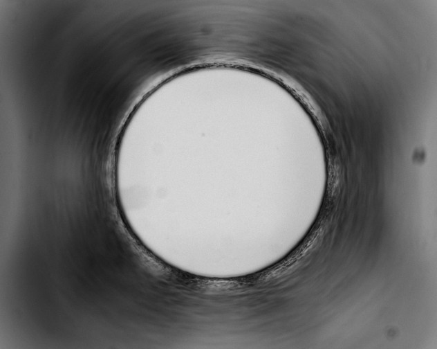 X0000103331295200810171415