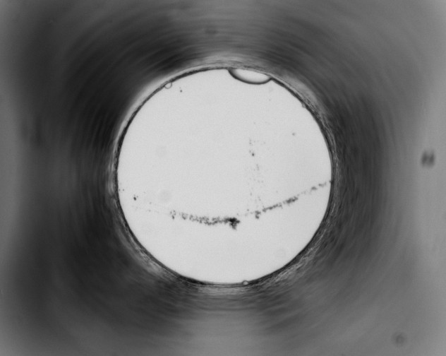 X0000103331296200810171415