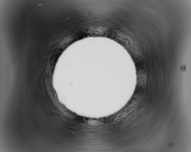 X0000103331297200810171415