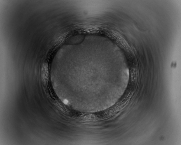 X0000103331298200810171415