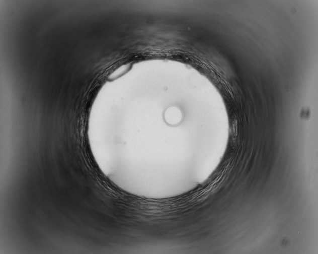 X0000103331300200810171415