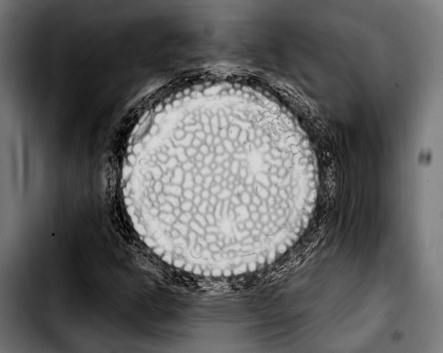 X0000103331302200810171415