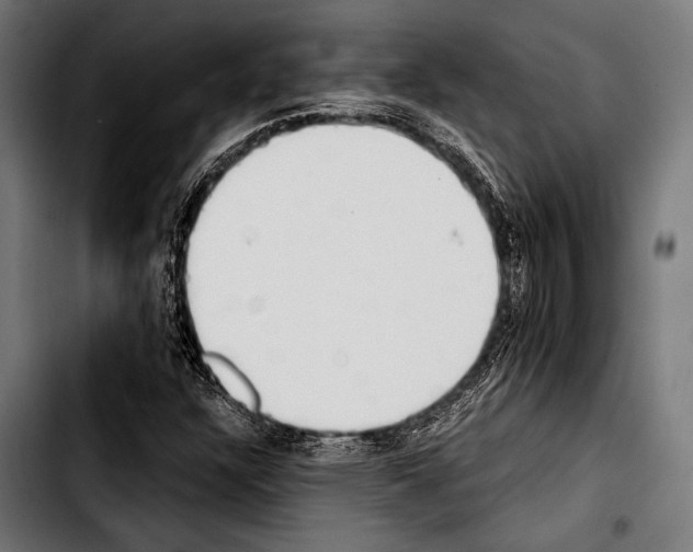 X0000103331304200810171415