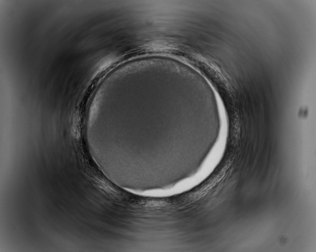 X0000103331306200810171415