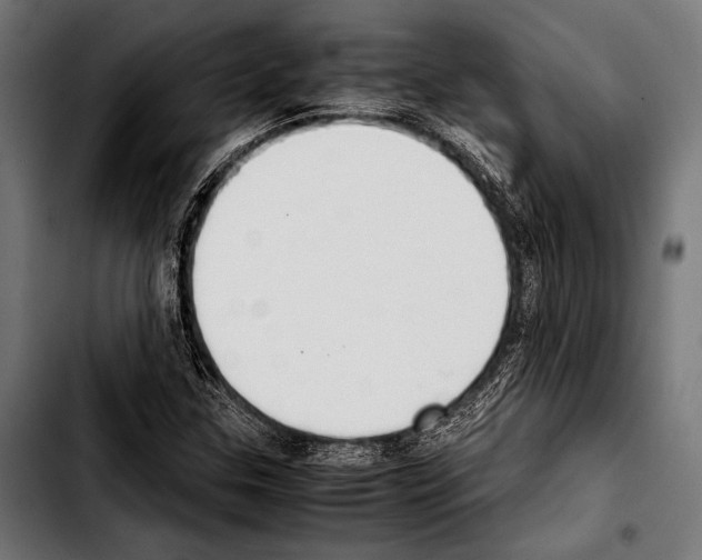 X0000103331307200810171415