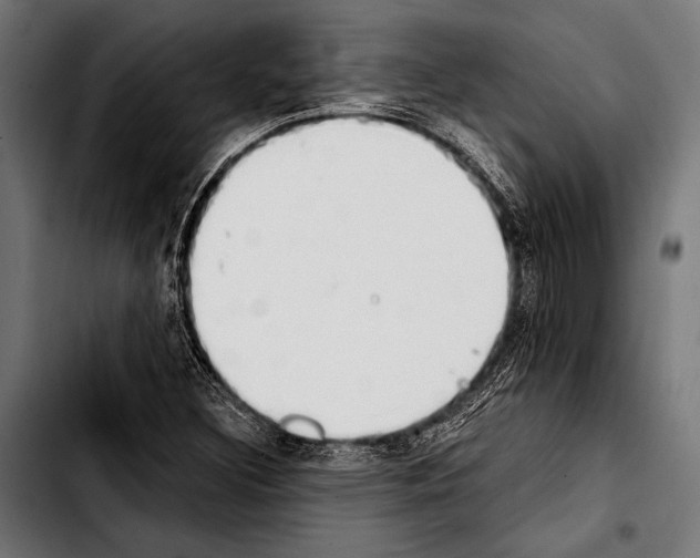 X0000103331308200810171415