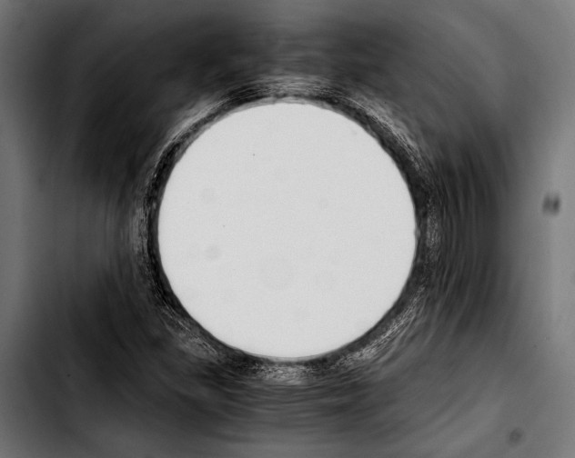 X0000103331309200810171415