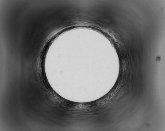 X0000103331311200810171415