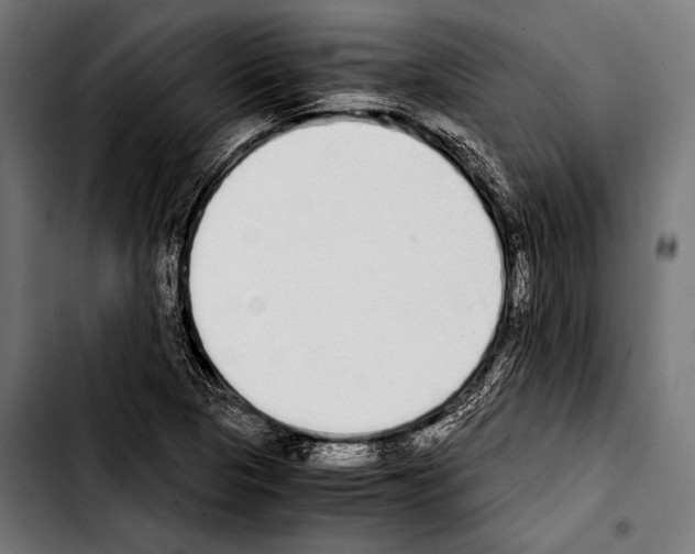 X0000103331313200810171415