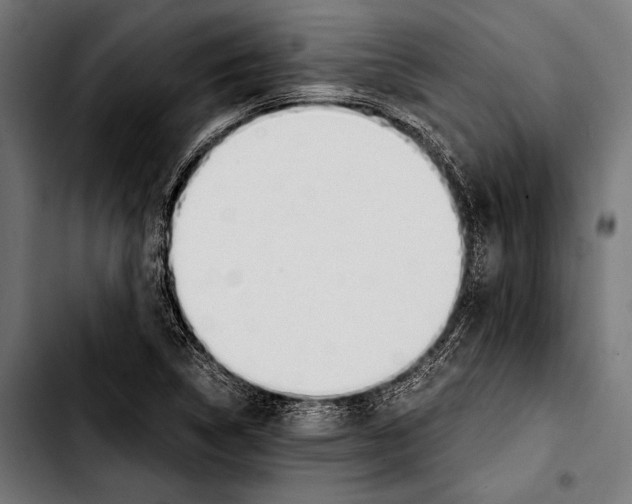 X0000103331314200810171415