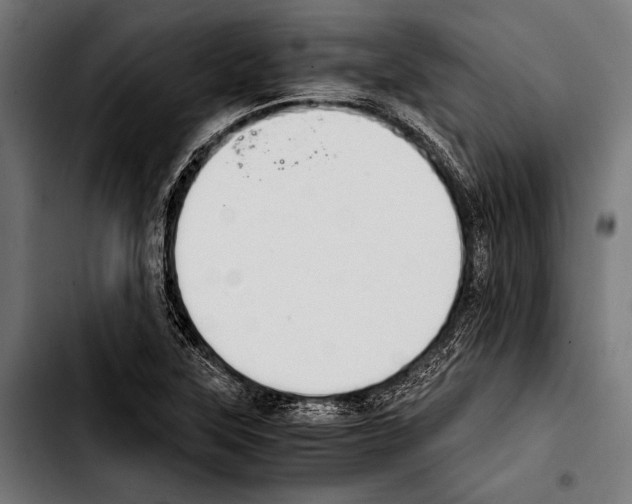 X0000103331315200810171415