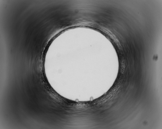 X0000103331316200810171415