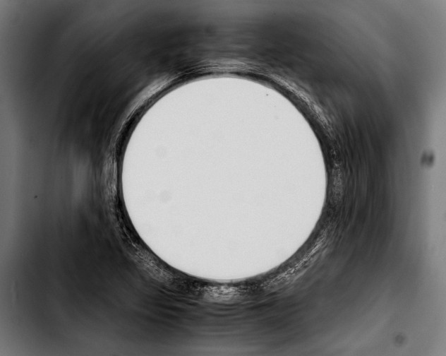 X0000103331317200810171415