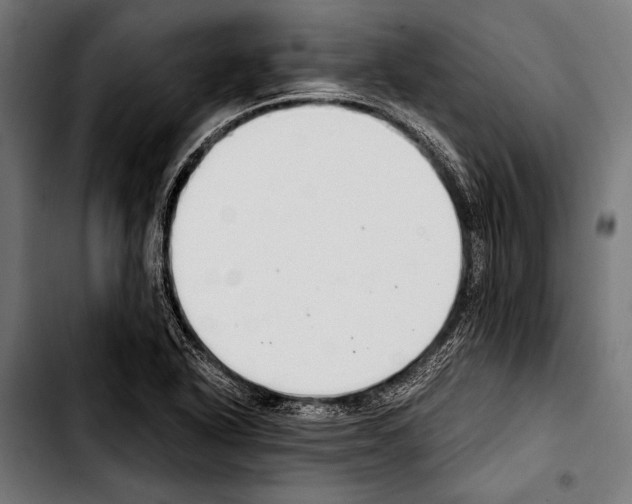 X0000103331318200810171415