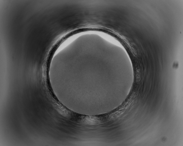 X0000103331319200810171415