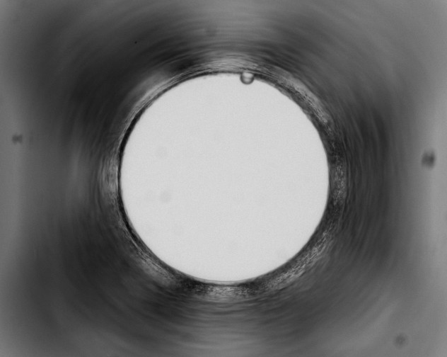 X0000103331322200810171415