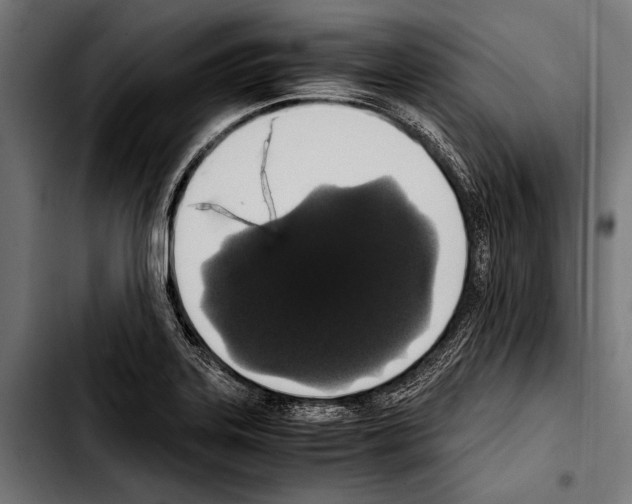 X0000103331323200810171415