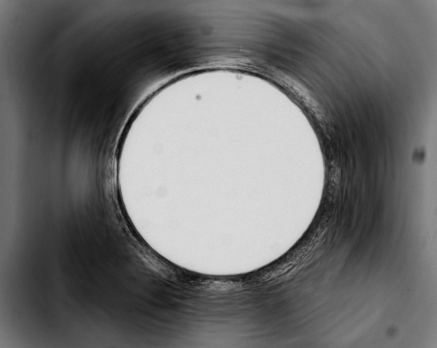 X0000103331324200810171415