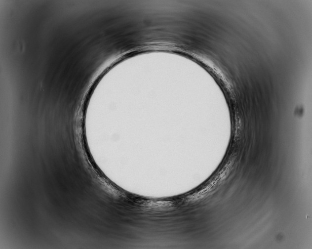 X0000103331325200810171415