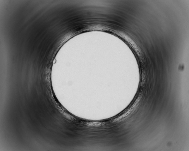 X0000103331329200810171415