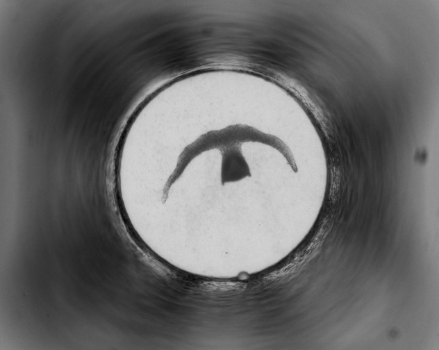 X0000103331331200810171415