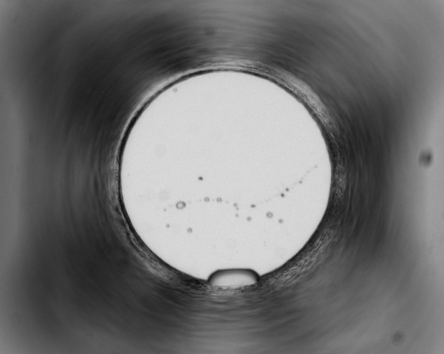 X0000103331332200810171415