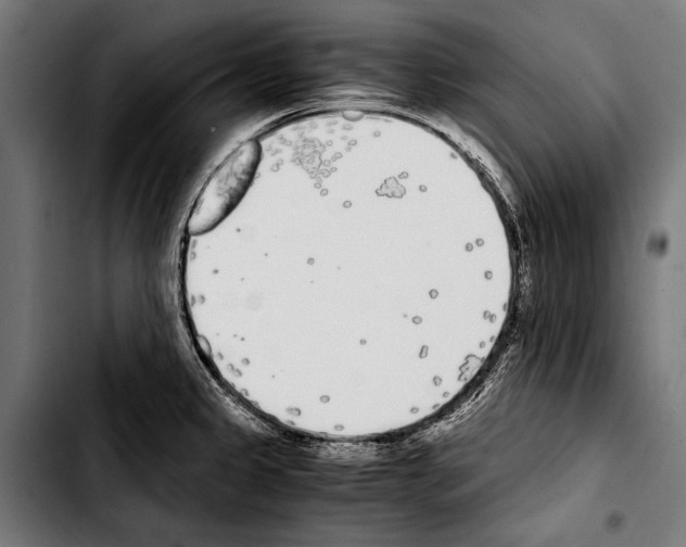 X0000103331333200810171415