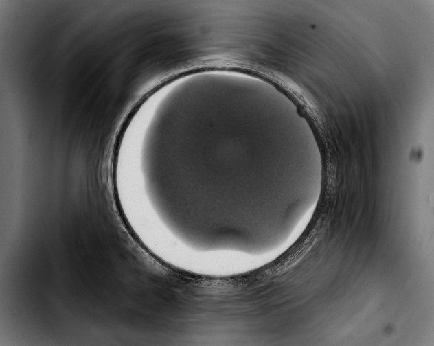 X0000103331334200810171415