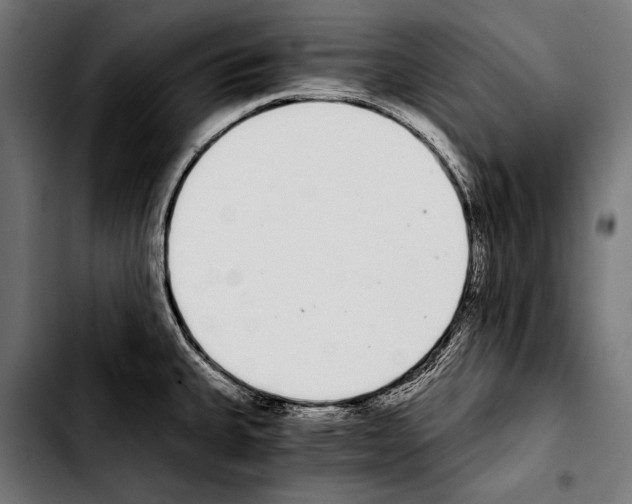 X0000103331335200810171415