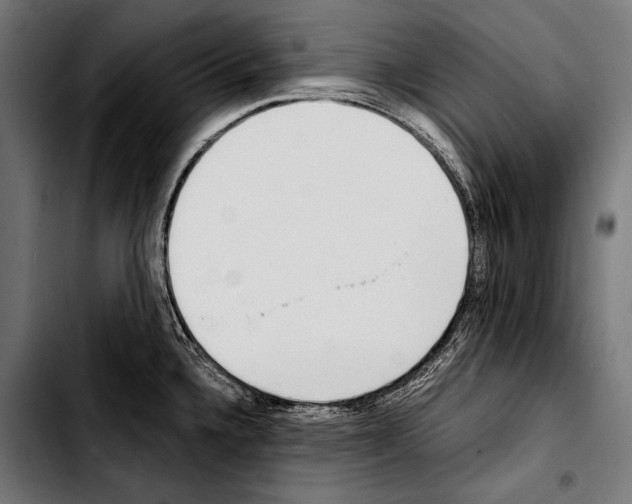 X0000103331336200810171415