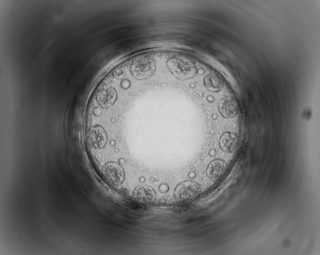 X0000103331338200810171415