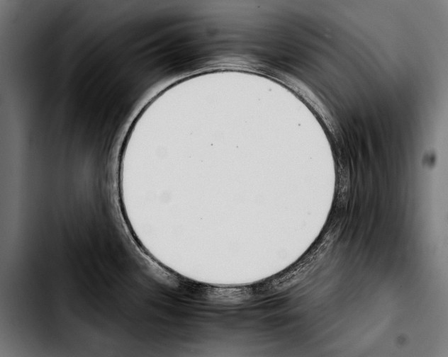 X0000103331339200810171415