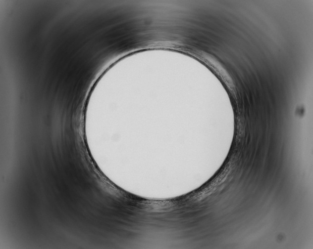 X0000103331340200810171415