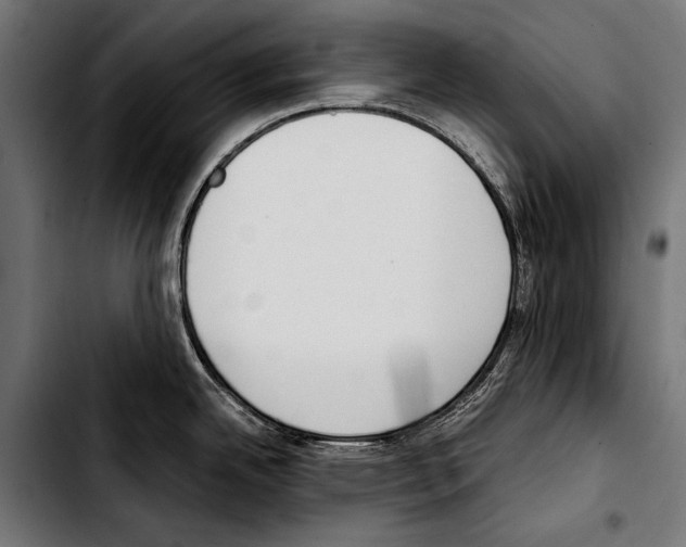 X0000103331342200810171415