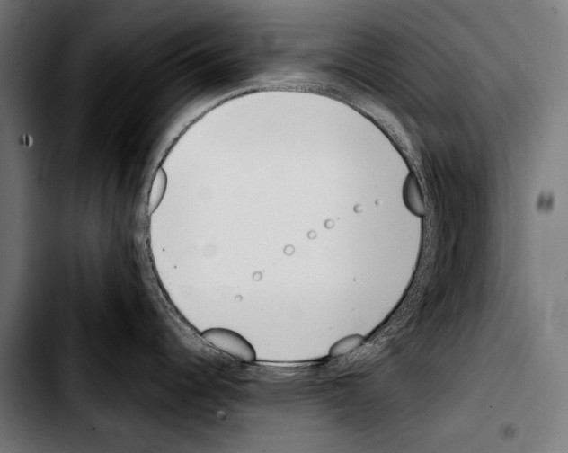 X0000103331344200810171415