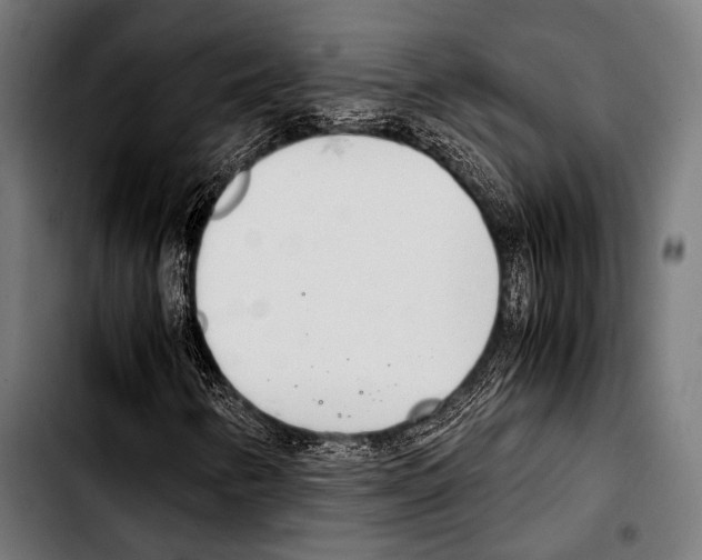 X0000103331346200810171415