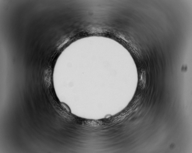 X0000103331348200810171415