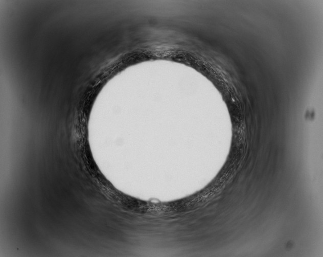 X0000103331349200810171415