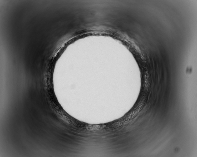 X0000103331352200810171414